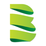 BehinSadra Logo